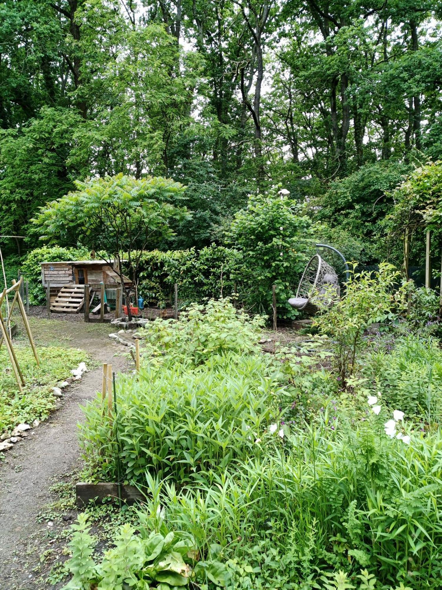 Maison Pres Des Bois Joué-lés-Tours Buitenkant foto